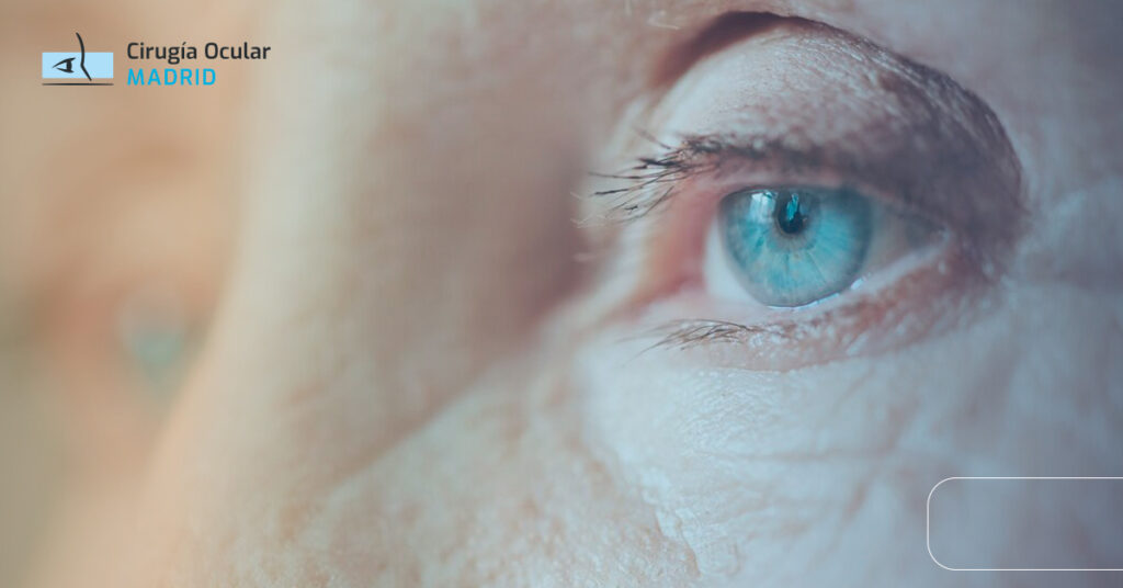 Las mejores vitaminas para la salud de la Mácula: Protege tu visión de forma natural